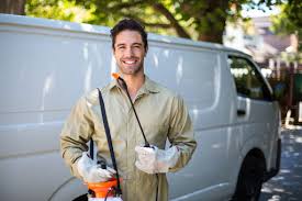 Best Termite Inspection and Treatment  in Barnum Island, NY